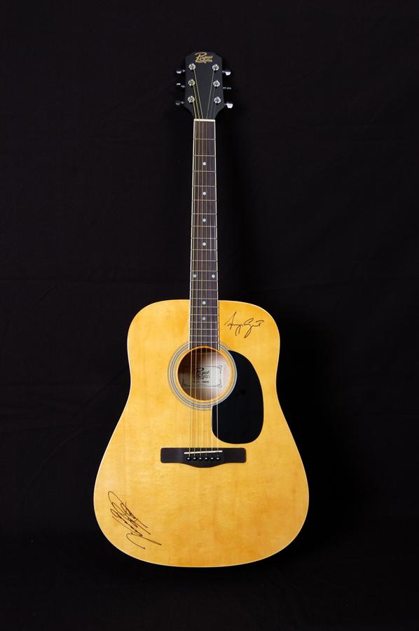 Rogue rd80 dreadnought on sale acoustic guitar